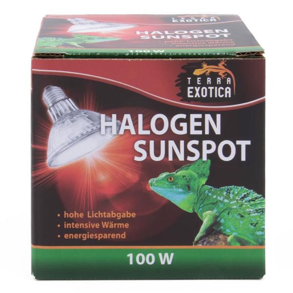 Terra Exotica Halogen Sunspot - Halogen Spotstrahler - 100 Watt